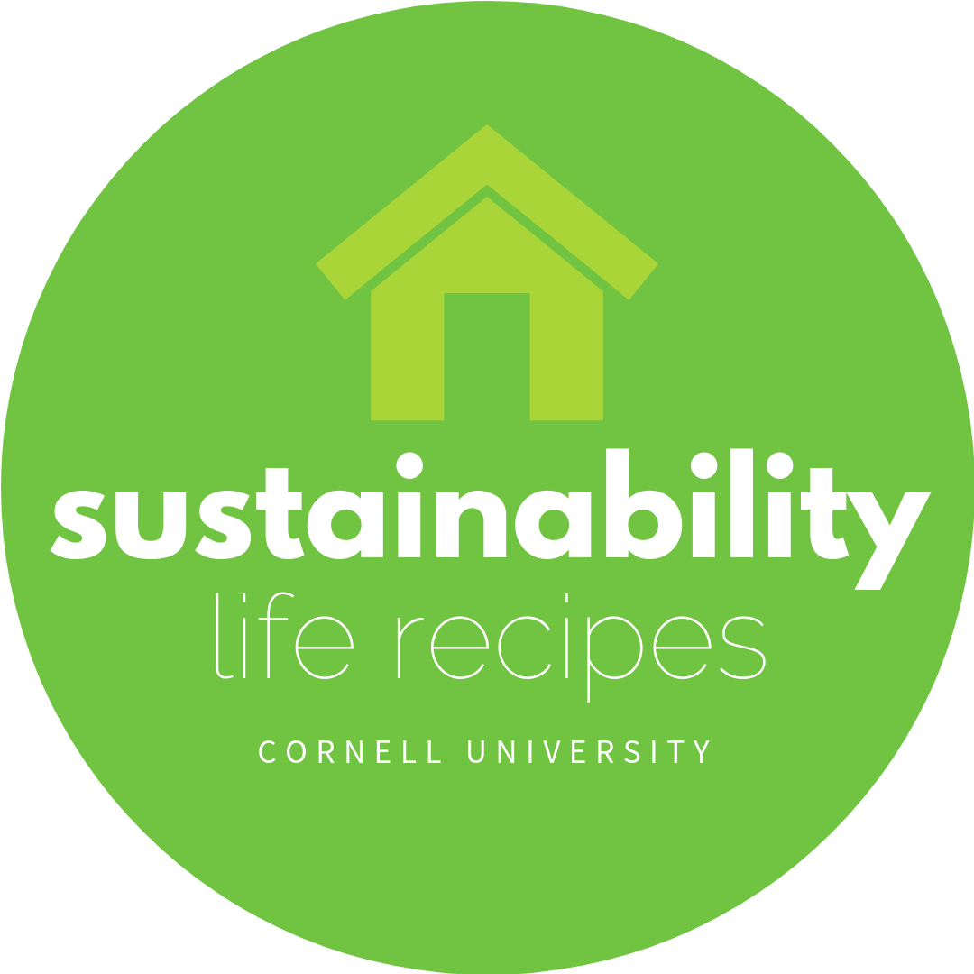 Sustainability Life Recipe Icon