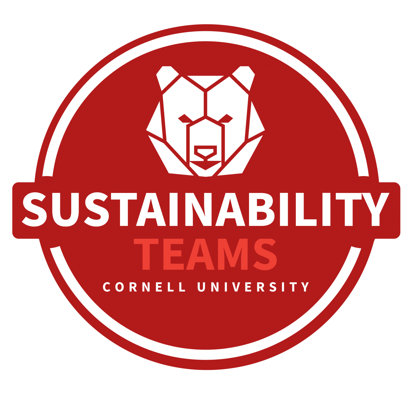 Sustainability Teams Logo, Cornell