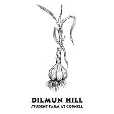 Dilmun Hill logo