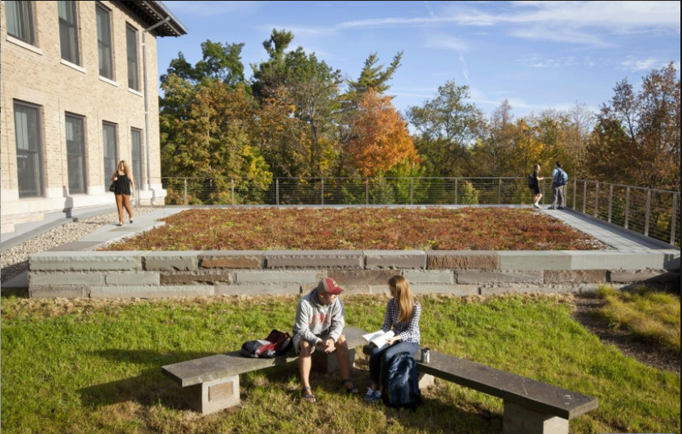 Fernow Hall Green Roof