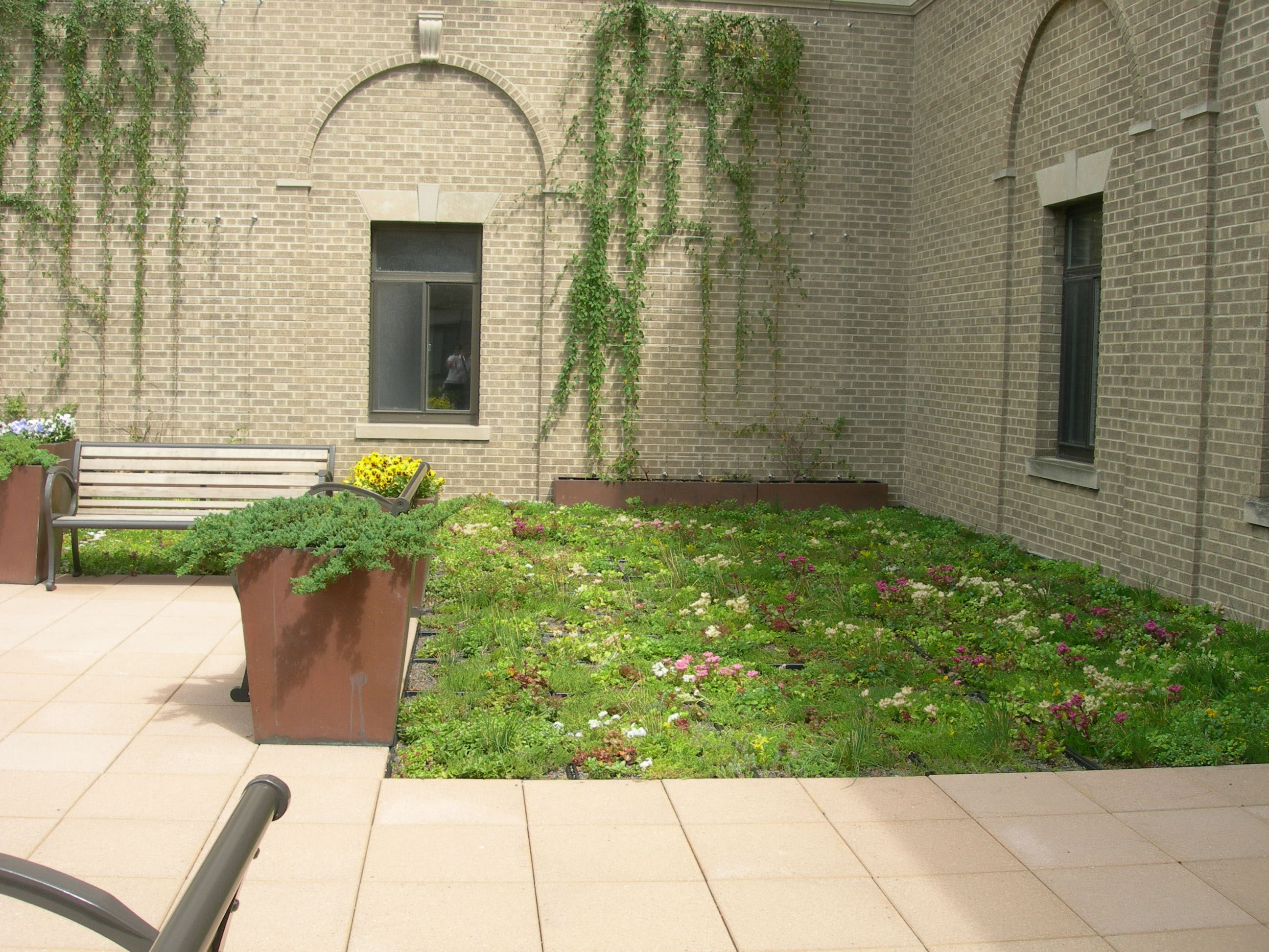 Mann Library Green Roof