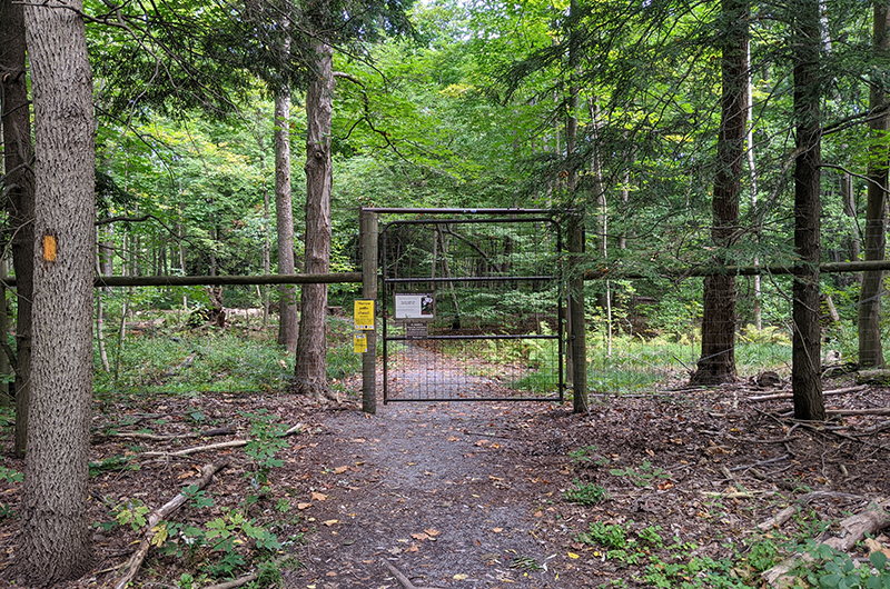 Deer fence in the Mundy Wildflower Garden