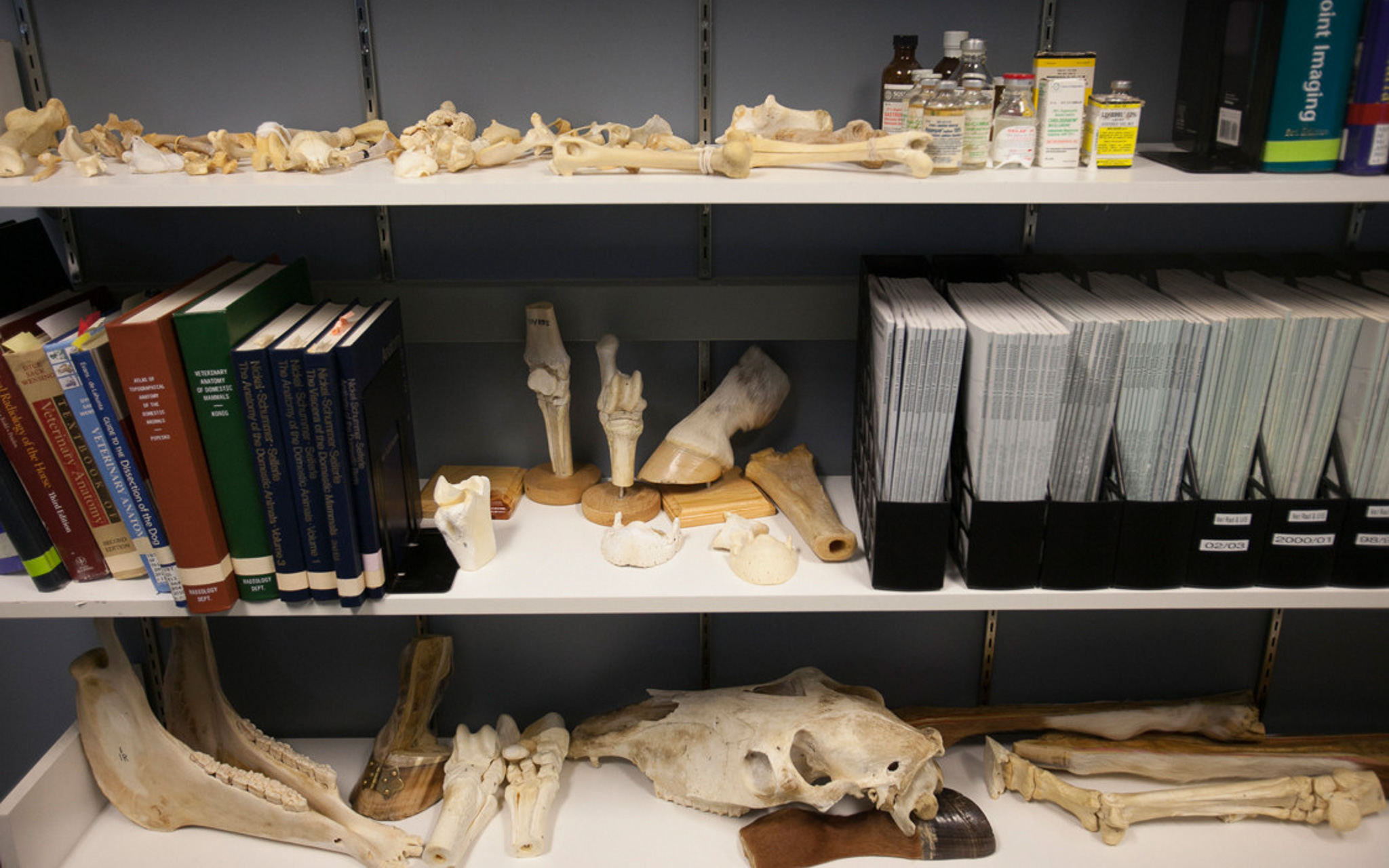 Learning materials shelved in the lab