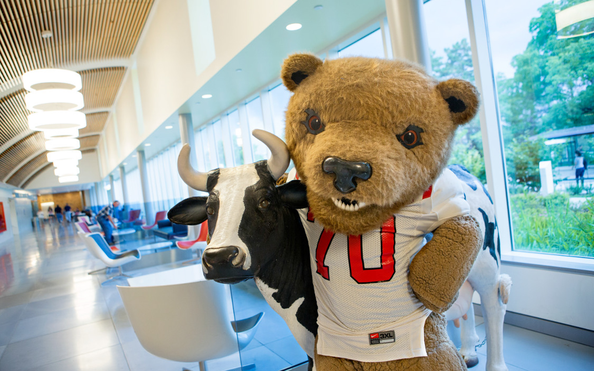Cornell's Mascot Touchdown posing with the plastic cows located in Stocking Hall