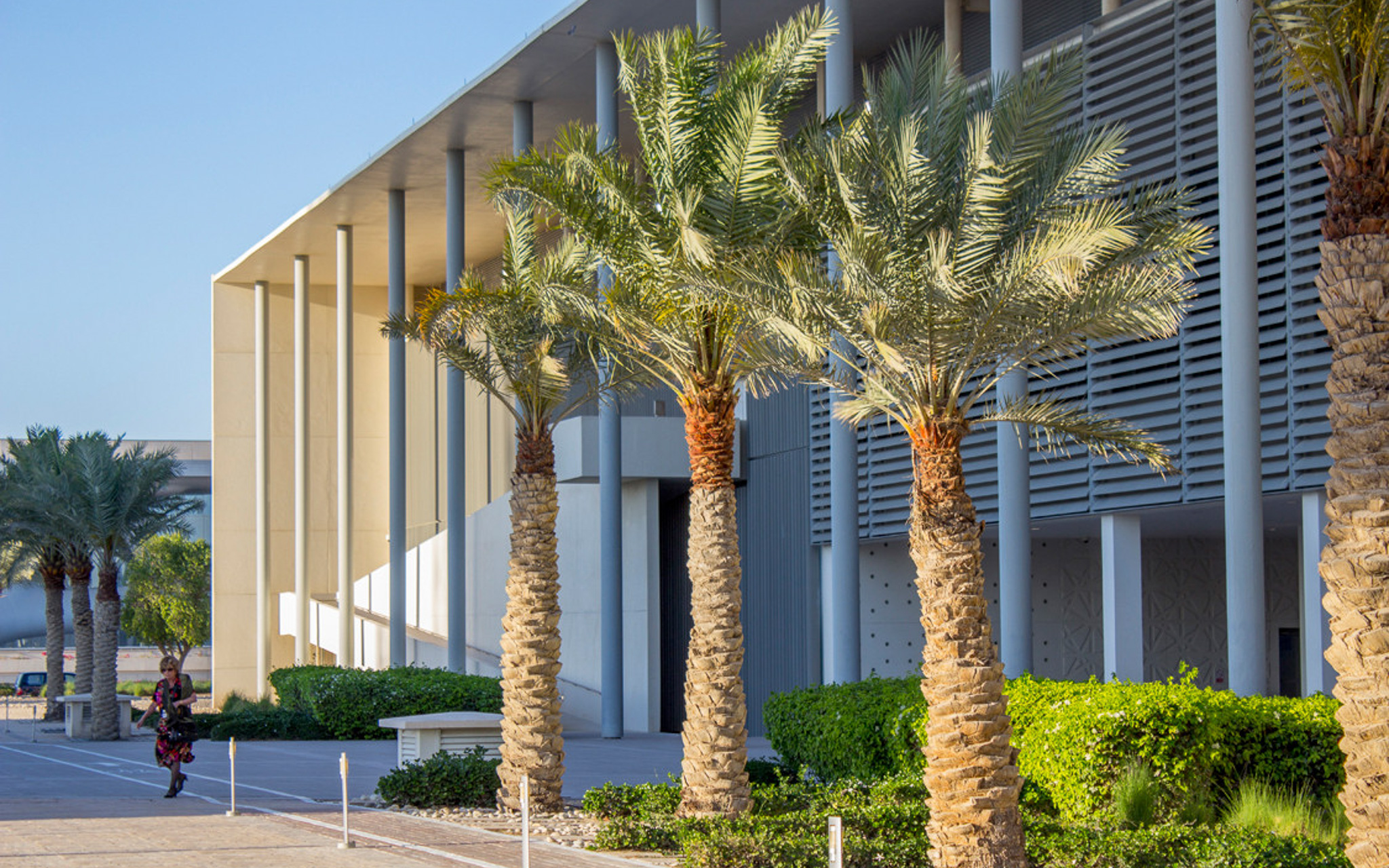 Exterior design of the medical college in Qatar, including native plants and modern architectural design