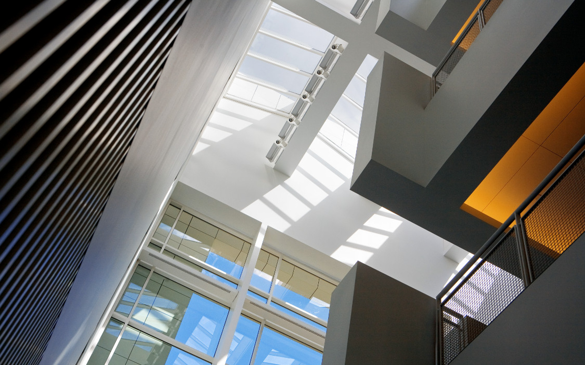 Interior architectural design of Weill Hall using natural lighting and brutalist structures