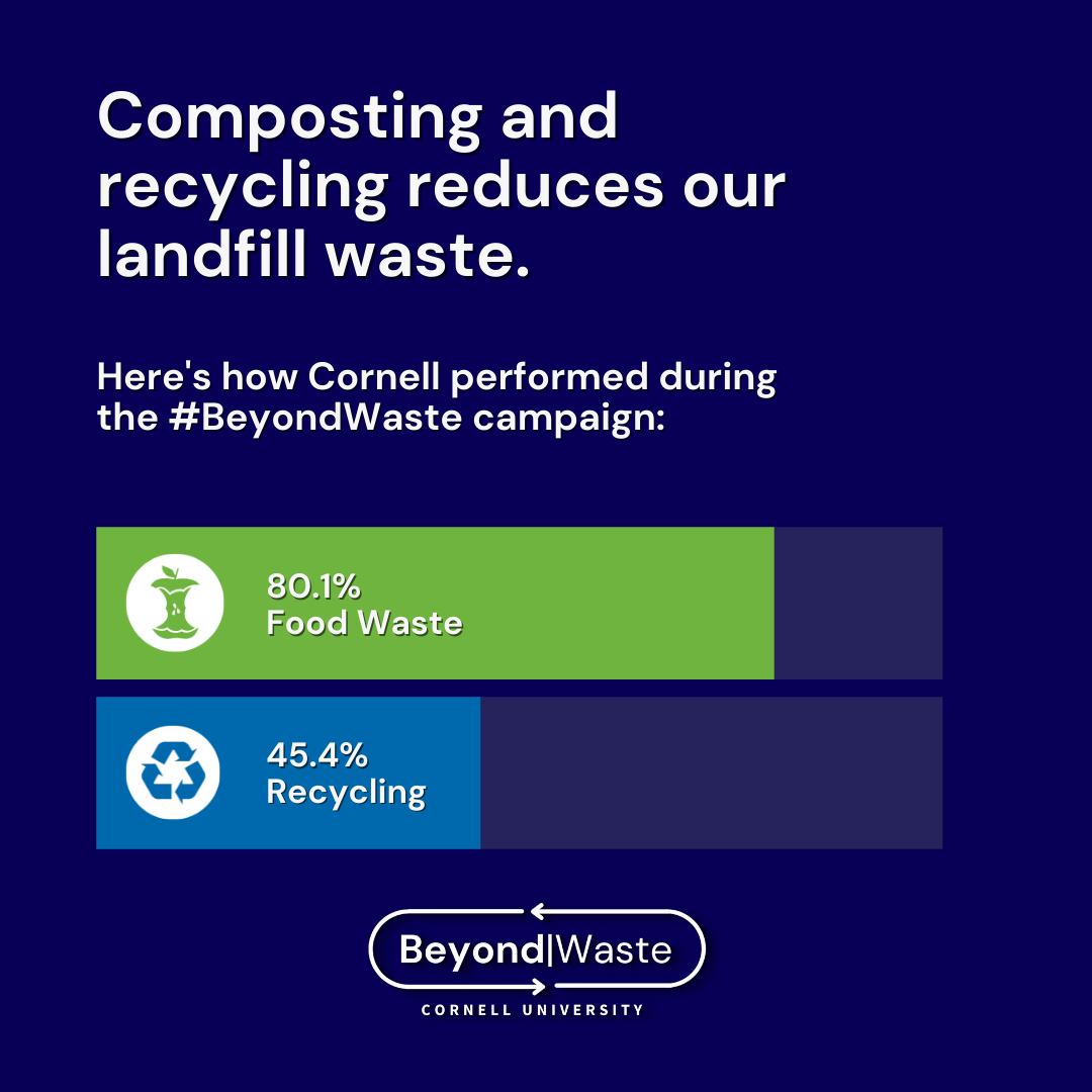 Graph showing 45% recycling rate and 80.1% compost rate during the 2022 Beyond waste campaign