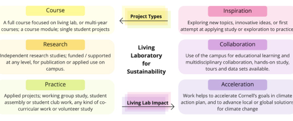 A diagram visualizing the Living Lab's project types and impacts.