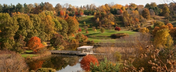 The F.R. Newman Arboretum in fall with pergola and Houston Pond.