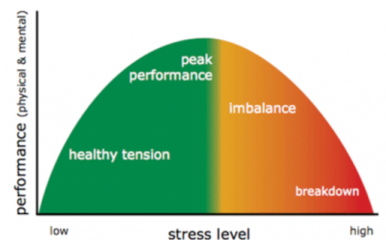 Stress graph