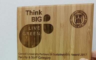 Wooden award recognizing building care staff for sustainability