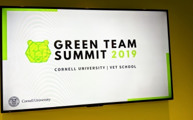 Green team summit slide on projector