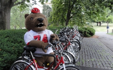 Touchdown the bear poses with a bike rack