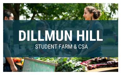 Dilmun Hill Student Run Farm
