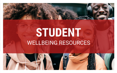 Student wellbeing resources