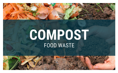 Compost: food waste