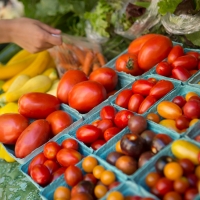 Tomatoes at a farmers market