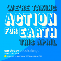 Earth Day ecochallenge poster