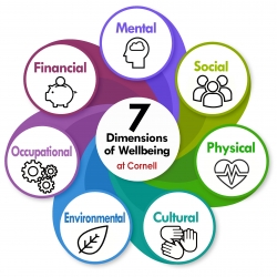 Seven interlocking areas of wellbeing.  Description provided in first paragraph on this page.