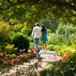 Two people holding hands in a Cornell garden 