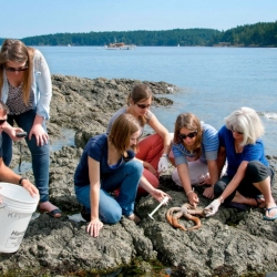 Drew Harvell, far right, professor of ecology and evolutionary biology and former Cornell Atkinson faculty director, examines starfish with students at Friday Harbor Labs on the coast of Washington state in 2014.