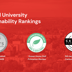Sustainability ranking seals from 2021