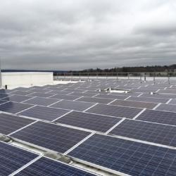 Human ecology building rooftop solar panels