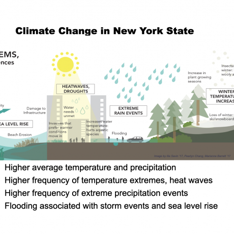 Climate Resiliency | Sustainable Campus