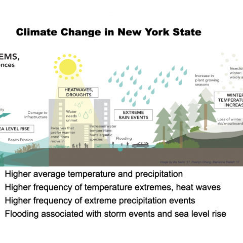 Infographic describing climate change effects in New York State, including higher average temperature and precipitation, higher frequency of extreme weather events and extreme precipitation, heat waves, and flooding associated with storm events and sea level rise.