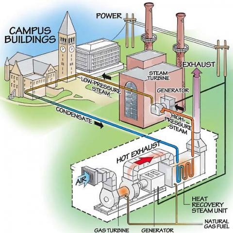 In Cornell's new combined heat and power plant, turbines fired by natural gas will generate electricity, then waste heat from the turbines will make steam to produce even more. Exhaust from the steam turbines is still hot enough to circulate through underground tunnels and warm radiators all over the campus.