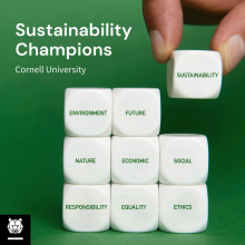 Hand placing a dice with "sustainability" in a quadrant with other social justice words