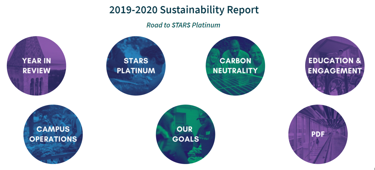 Annual sustainability report sections in circles 