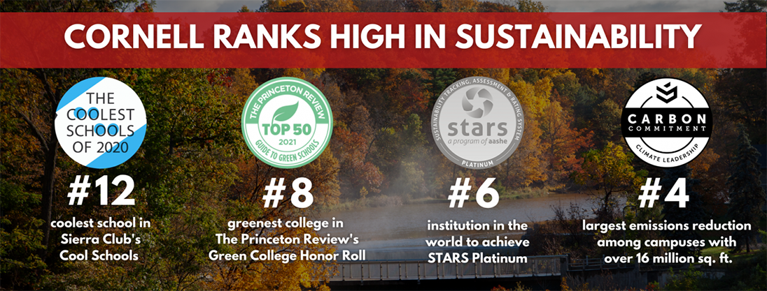 Cornell rankings