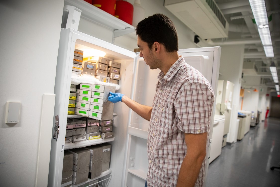 Researcher using lab freezer