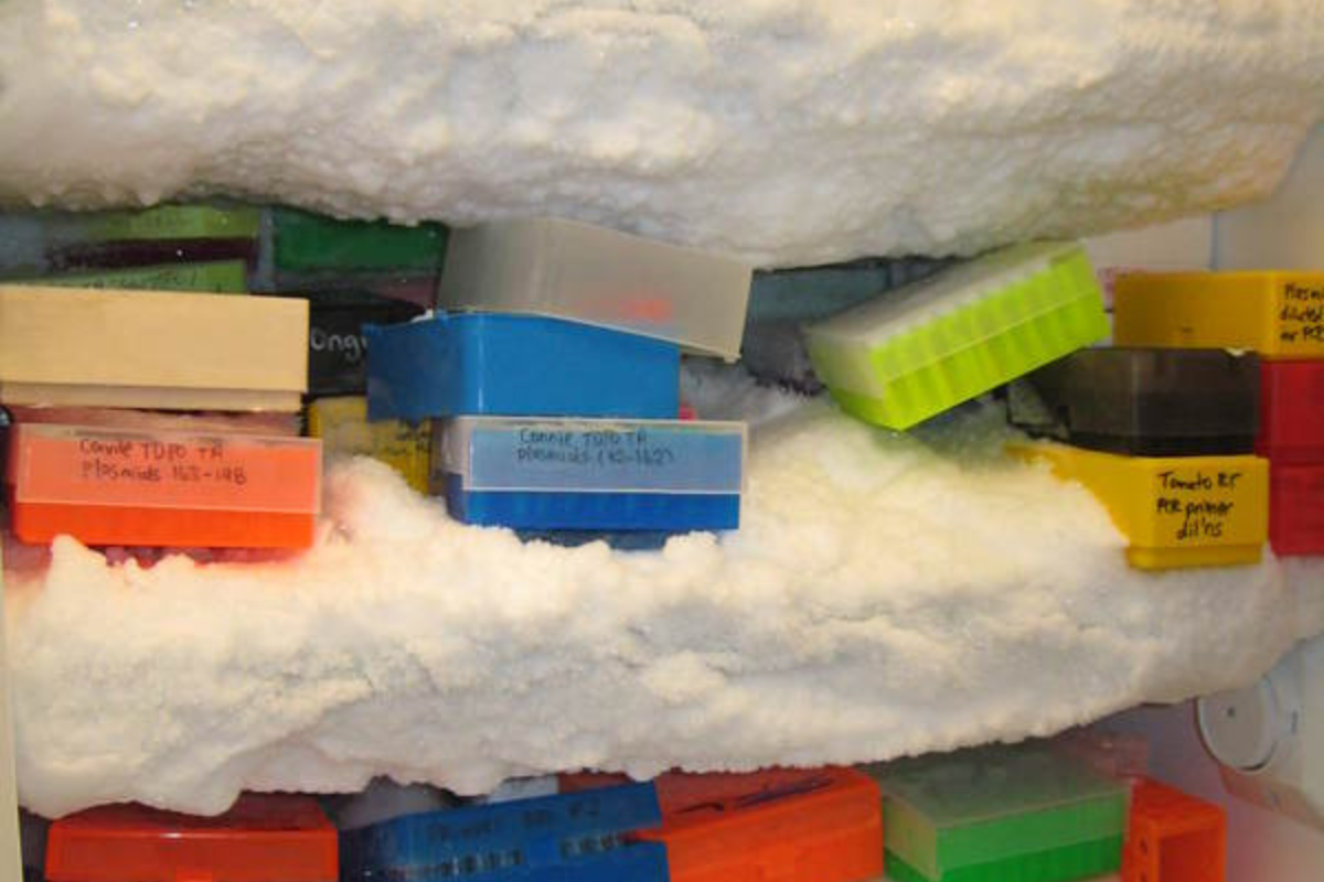 Ice build-up blocks access to samples, indicates a leak gasket, or inhibits freezer performance