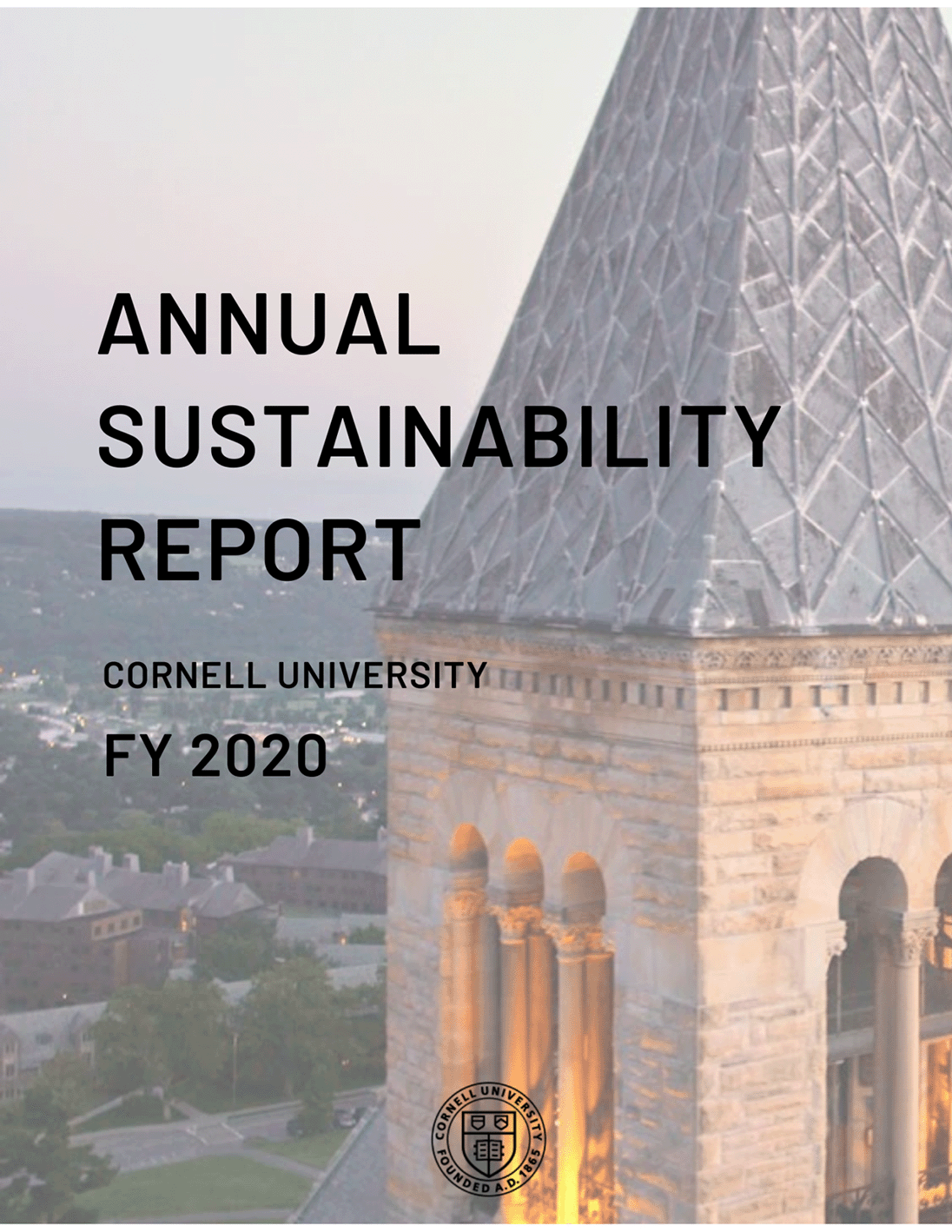 Accessible Version FY20 Sustainability Report