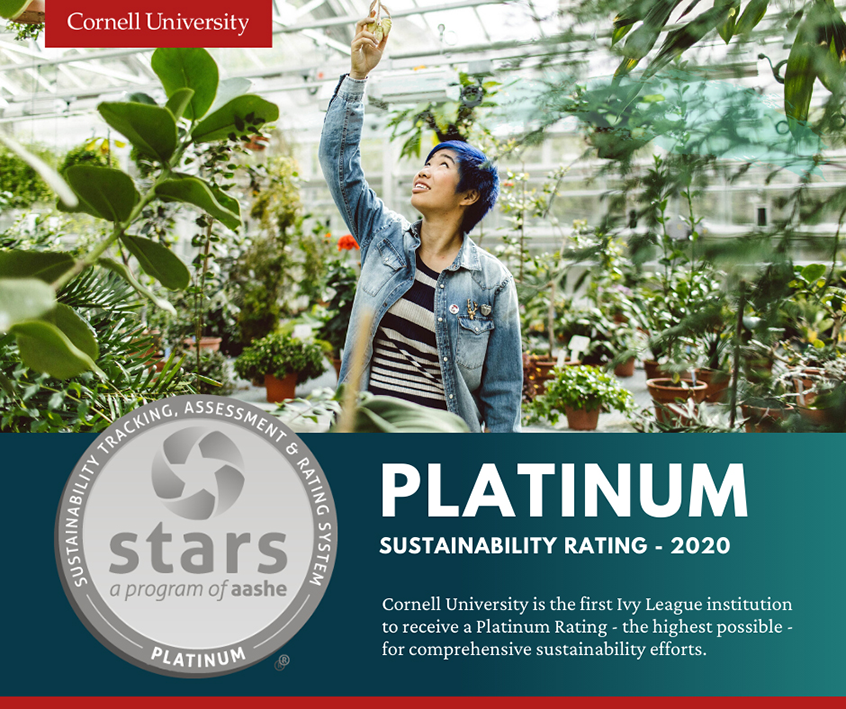 Student in a greenhouse with text "Cornell University is the first ivy league to achieve STARS Platinum"