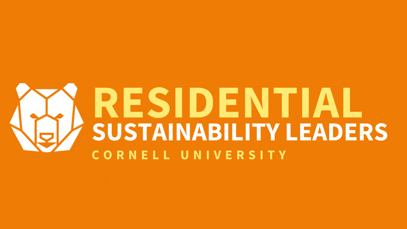 RSL program orange bear logo
