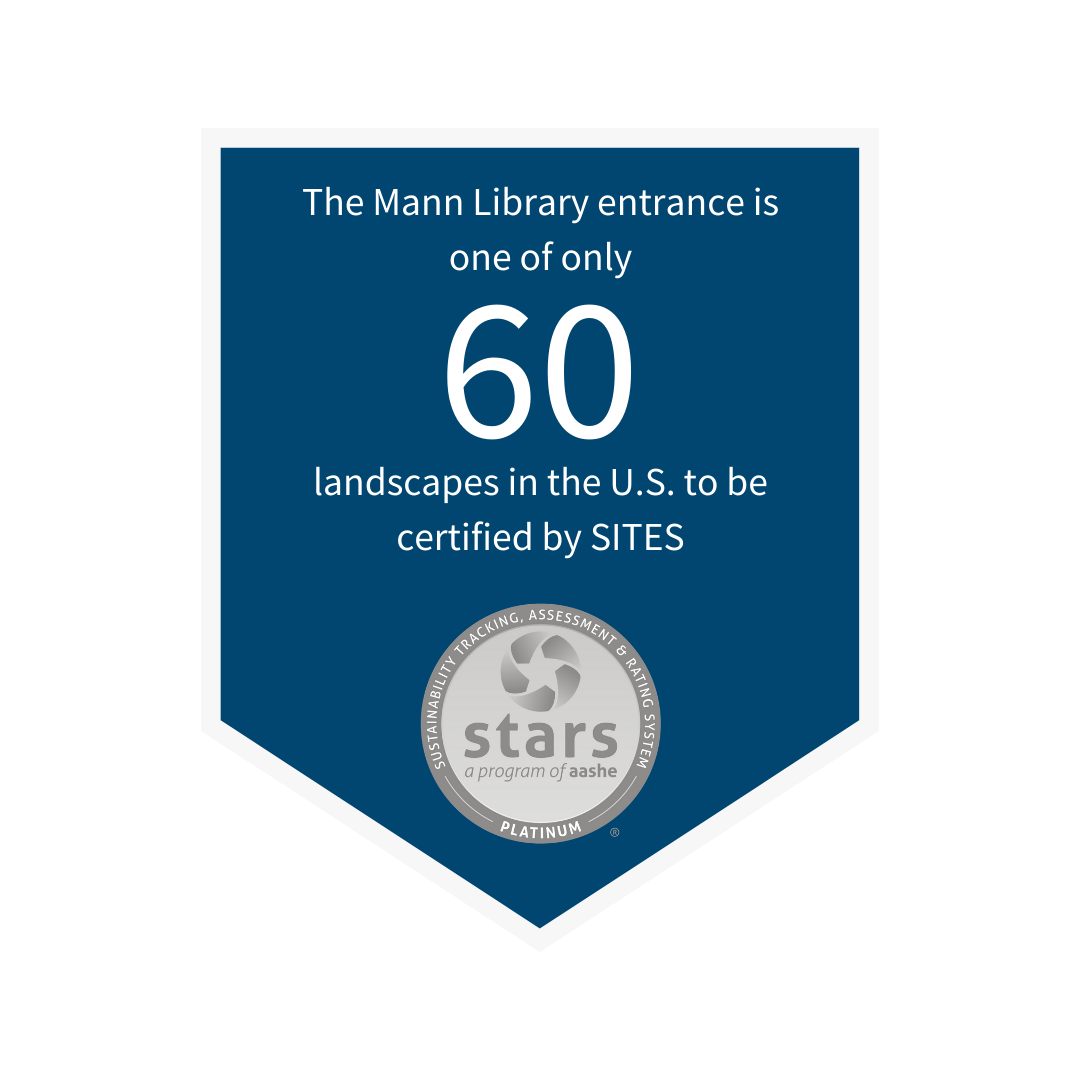 The Mann Library entrance is one of only 52 landscapes in the U.S. to be certified by SITES