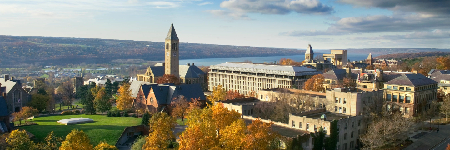 Aerial picture of Ithaca Campus