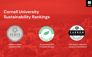 Sustainability ranking seals from 2021