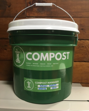Compost bucket